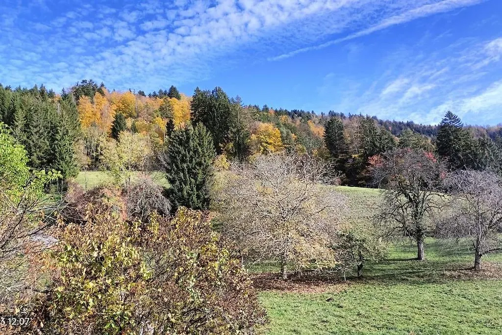 Holiday home Gite Coeur De Haute-Savoie Viuz-en-Sallaz