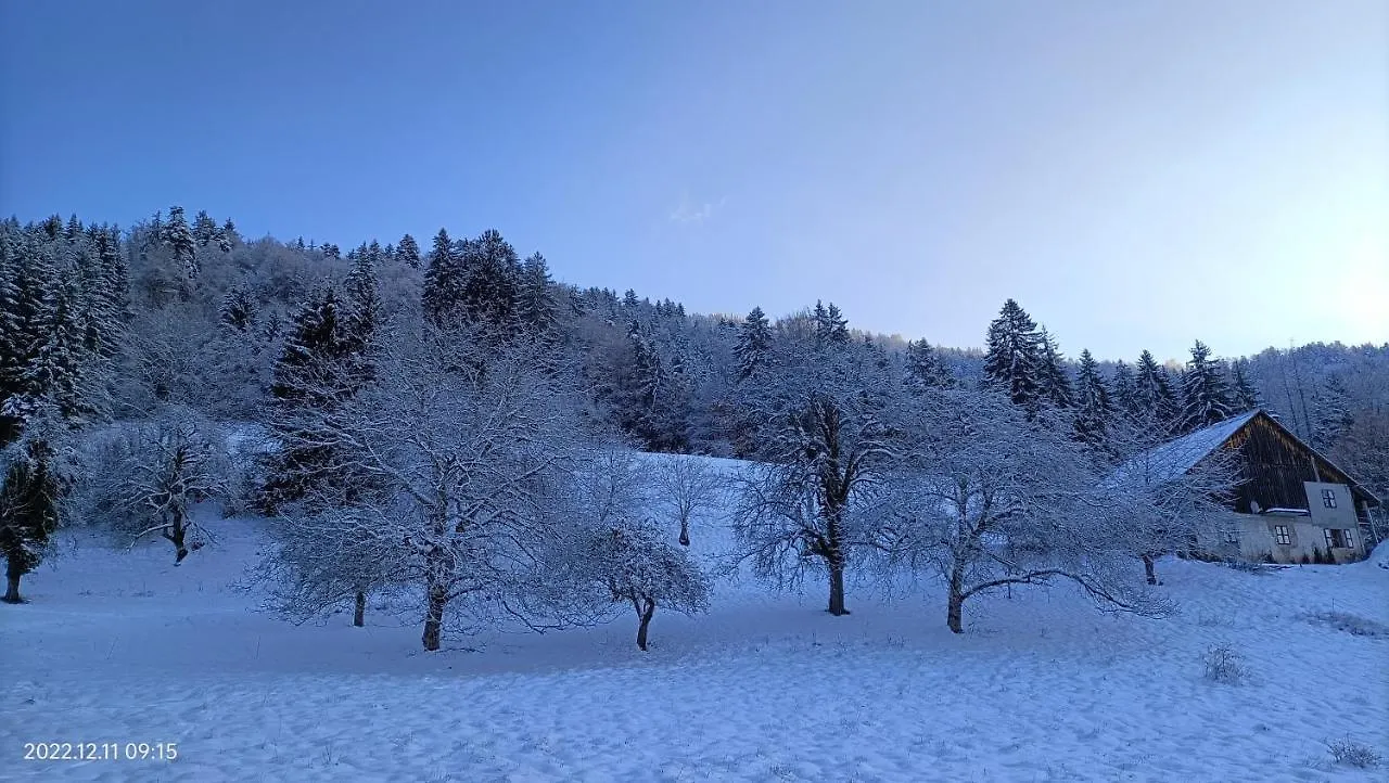 Holiday home Gite Coeur De Haute-Savoie Viuz-en-Sallaz